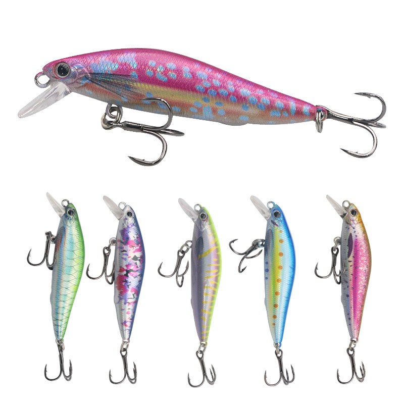 Fishing Hard Lures